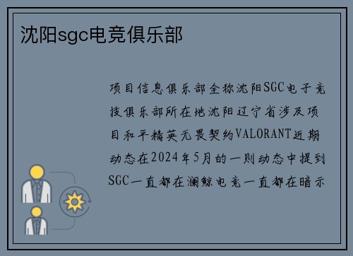 沈阳sgc电竞俱乐部